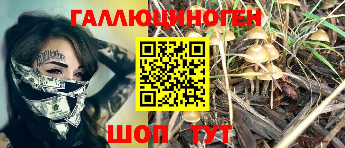 Псилоцибиновые грибы мухоморы  Вход с VPN  как найти наркотики  Городец 